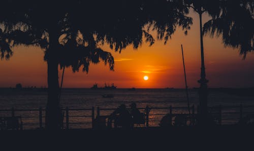 Free Silhouette of Trees Near Body of Water Stock Photo