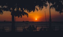 Silhouette of Trees Near Body of Water