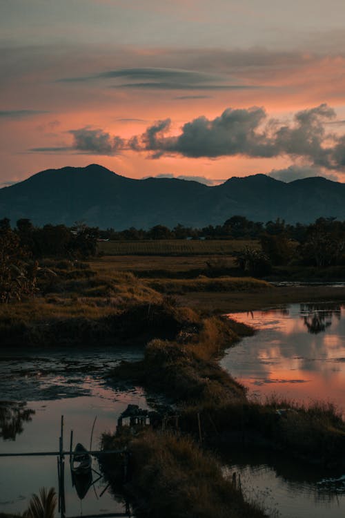 Green Trees Near Lake during Sunset