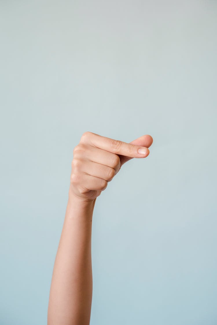 Hand Showing Sign Language Gesture