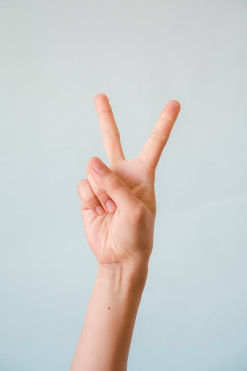 Free Hand Peace Sign  Stock Photo