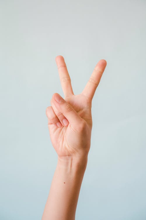 Hand Peace Sign 