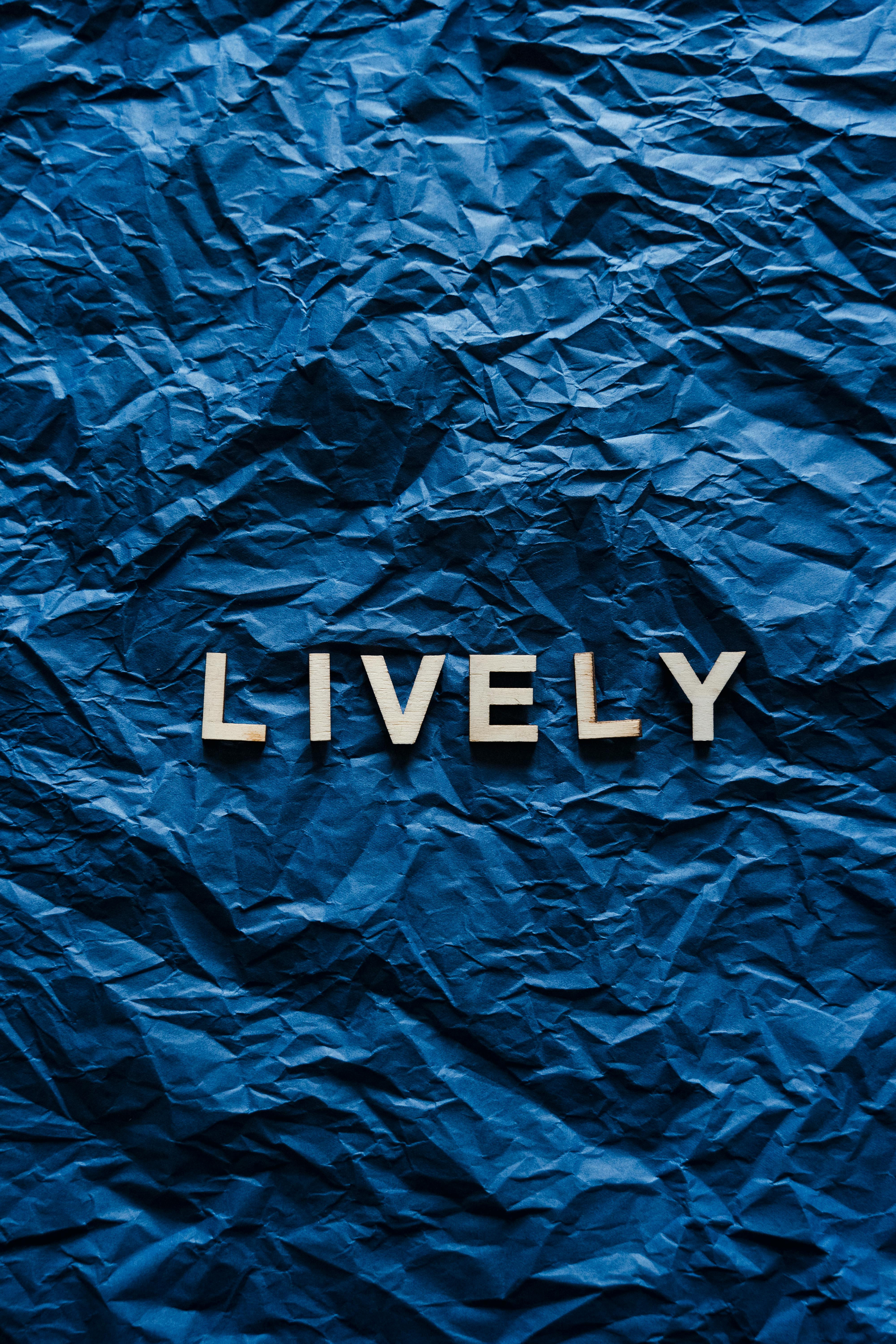 Lively Photos, Download The BEST Free Lively Stock Photos & HD Images