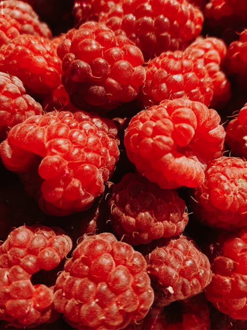 Free Close-Up Shot of Fresh Raspberries Stock Photo