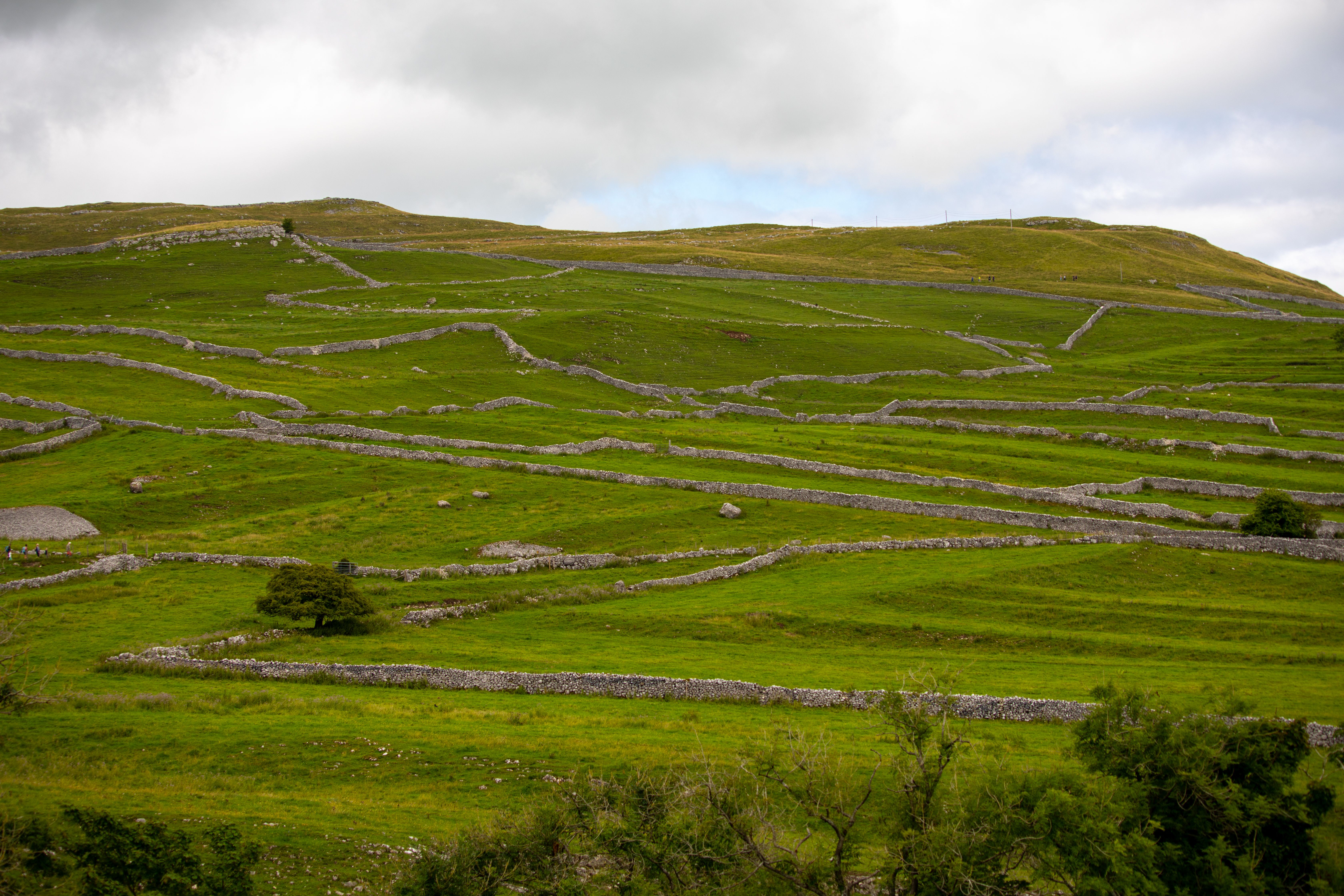 Yorkshire Dales National Park scenic landscape of a drystone wall leading to a limestone hill
