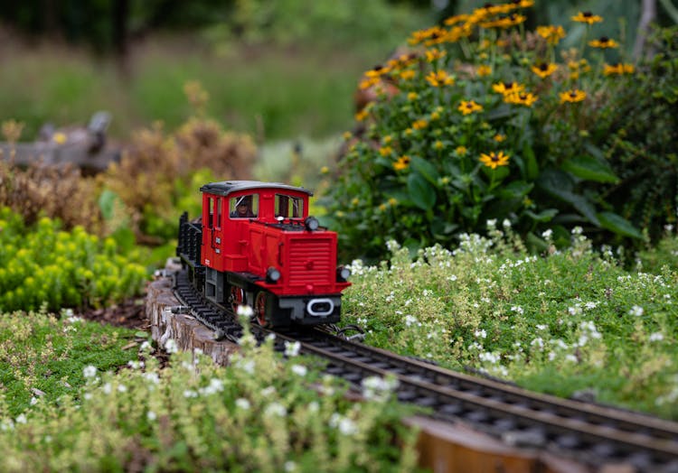 Miniature Train In A Garden 