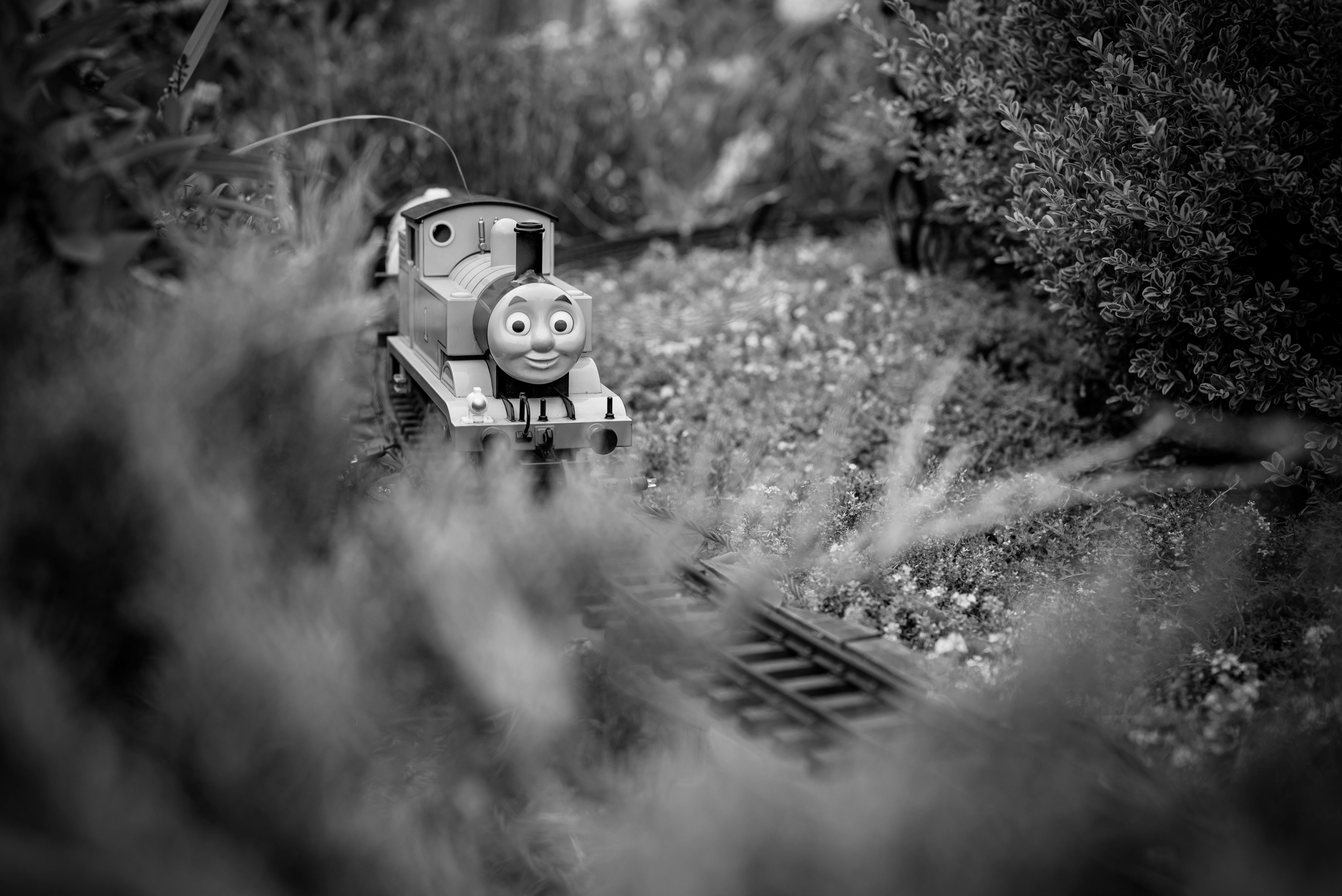 A captivating black and white photo of a toy train on a miniature railway in a garden setting.