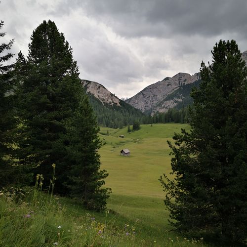 Free Beautiful landscape featuring mountains, a wooden cabin, green fields and pine trees under a moody sky. Stock Photo