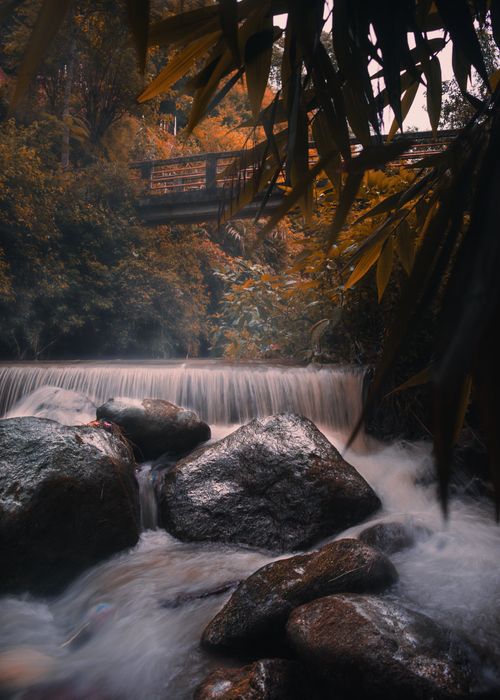 Free Peaceful waterfall flowing under a bridge surrounded by colorful autumn foliage. Stock Photo