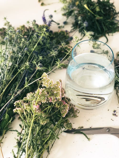 Glass of Water Beside Stems with Leaves