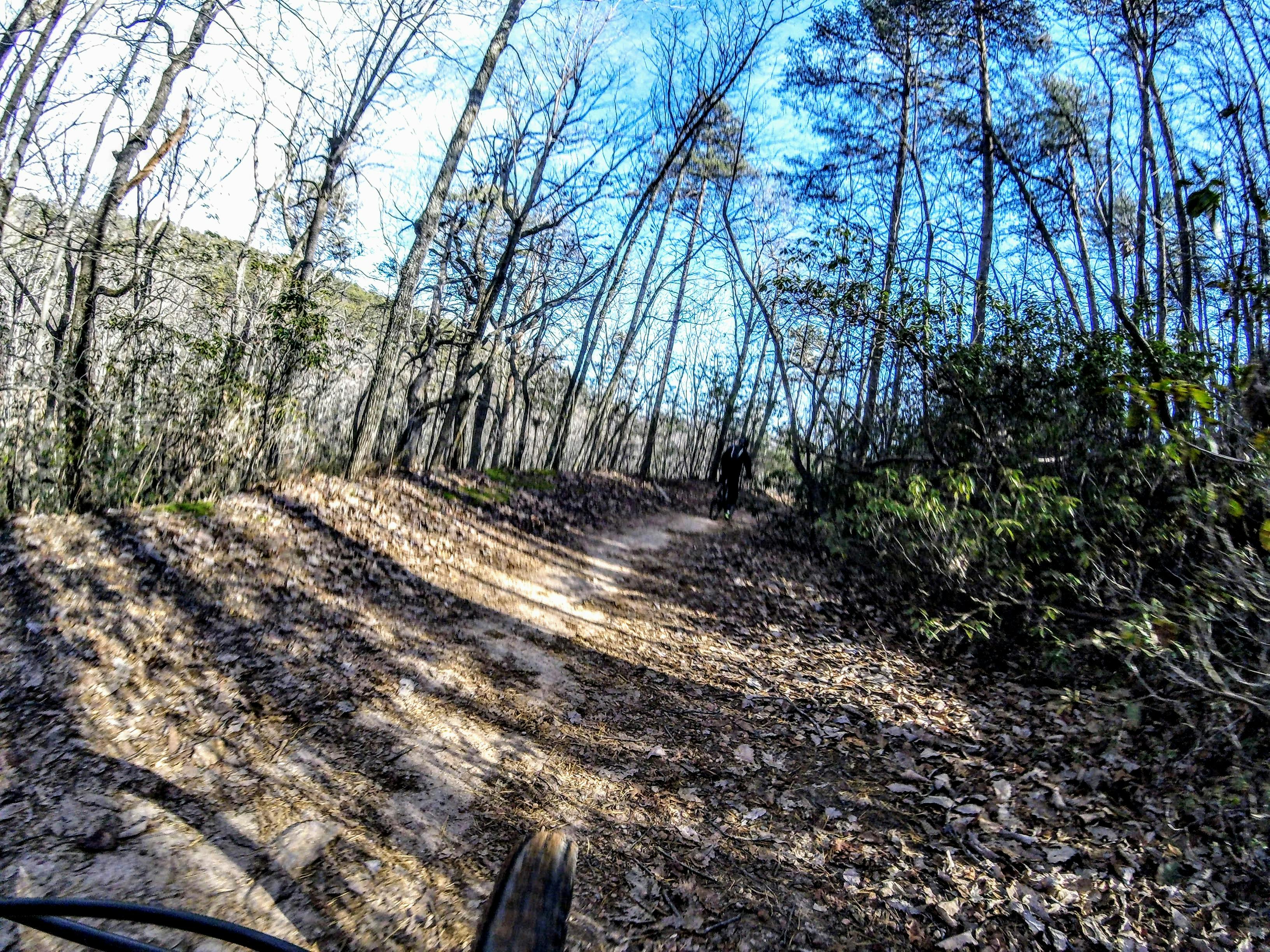 Difference Between Phoenix And Phoenix Pro Difference