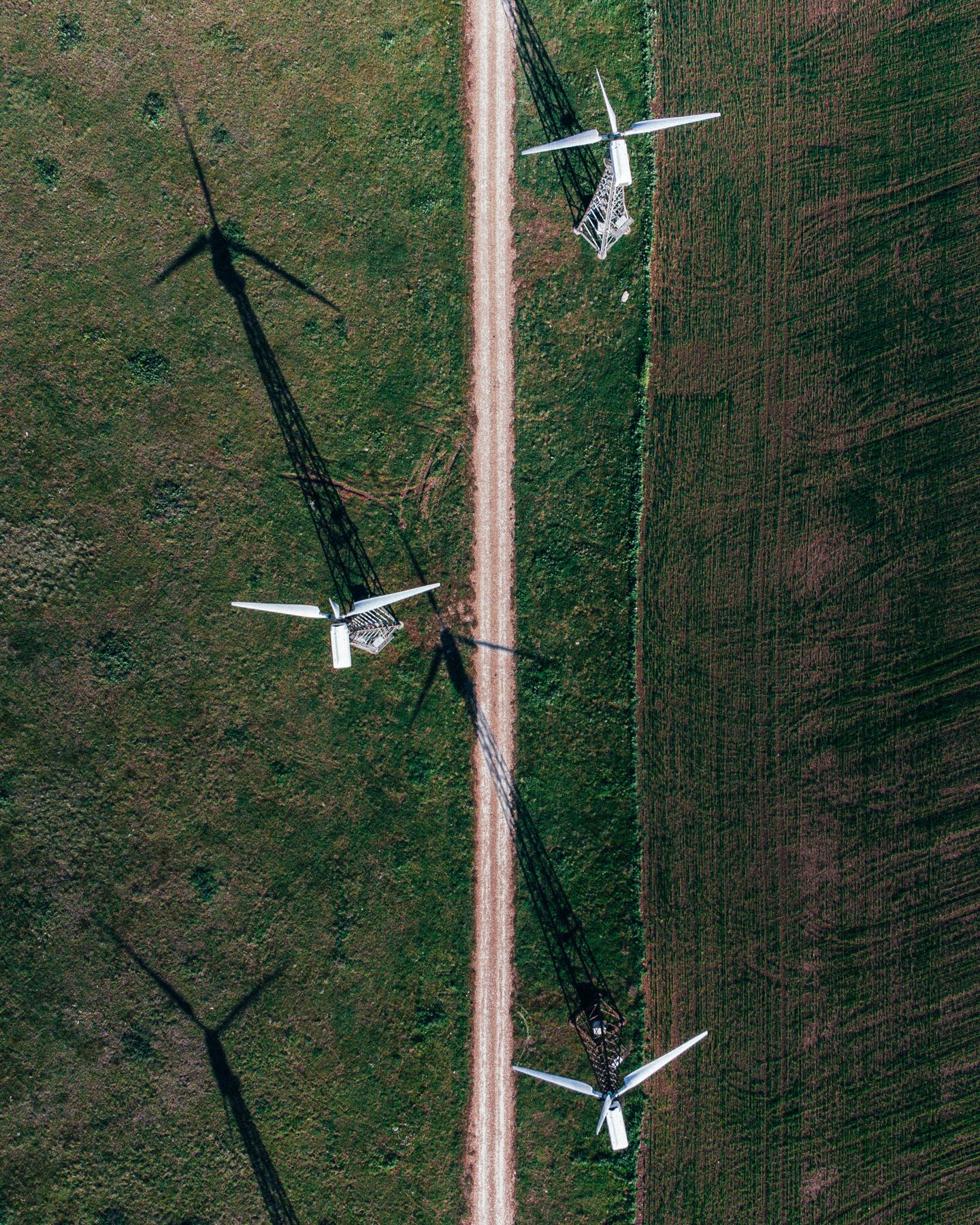 Wind turbines on a green Dutch landscape at sunrise