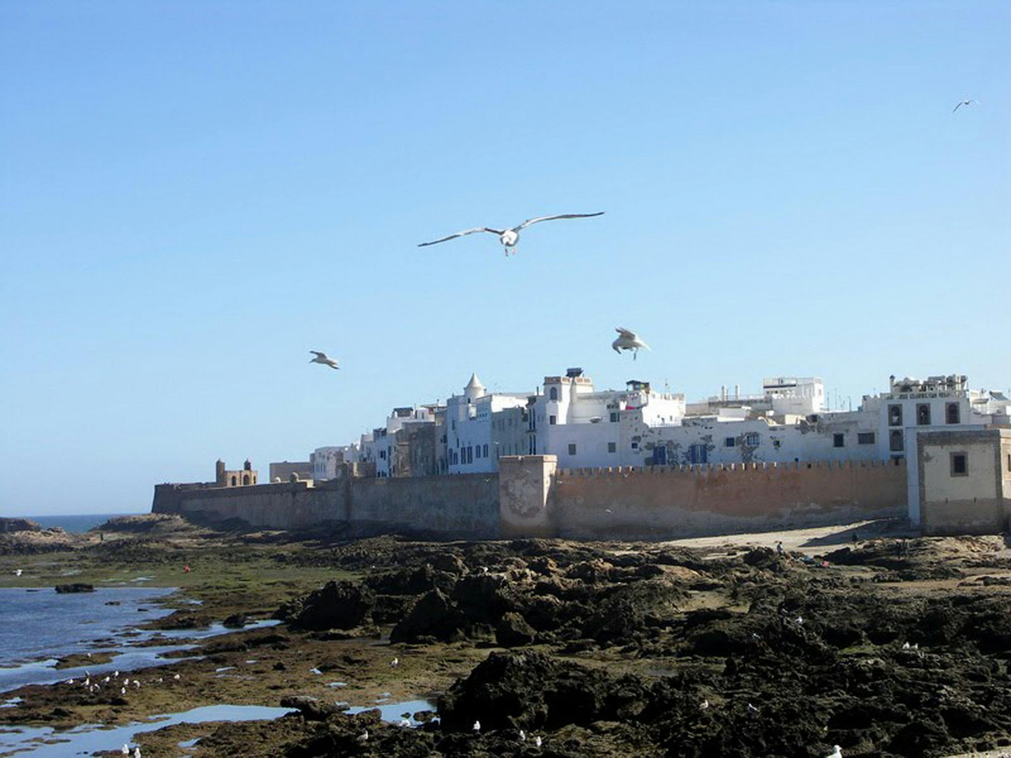 Free Stock Photo Of Essaouira Marocco