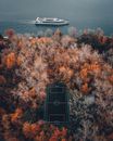 White and Black Ship on Sea Near Brown and Green Trees