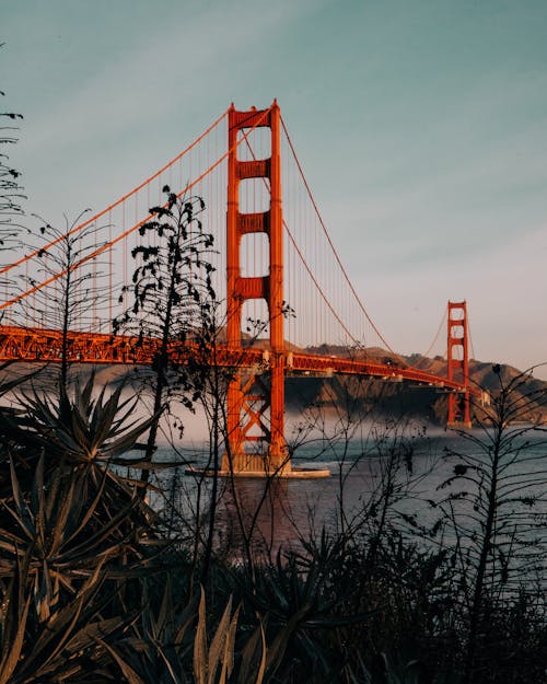 Imagine de stoc gratuită din California, fotografiere verticală, monument