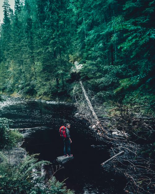 Free Man with backpack stands in dense forest by river in Russia, capturing adventure and nature. Stock Photo