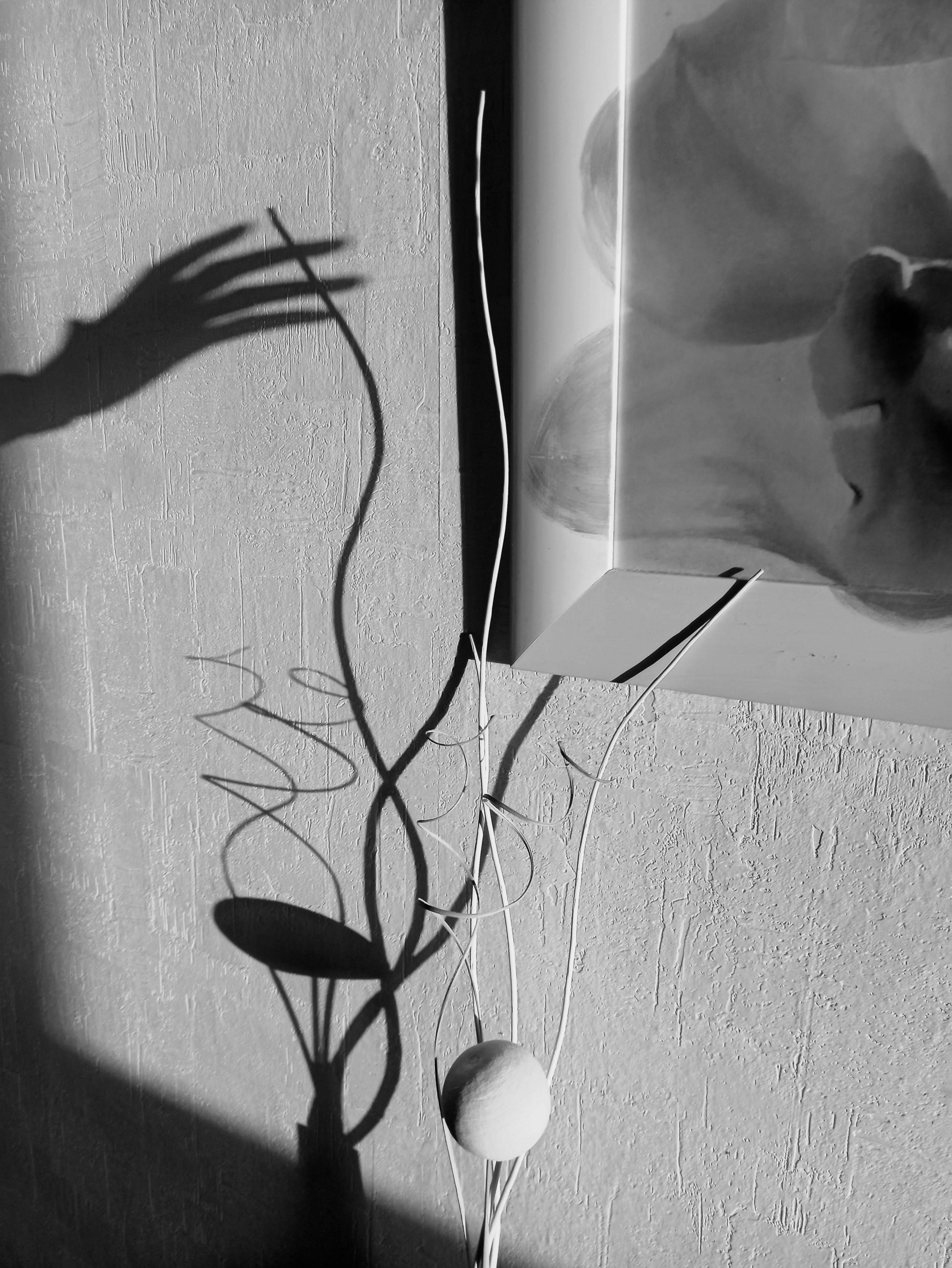 Black and white artistic shadow composition with abstract elements on a textured wall.