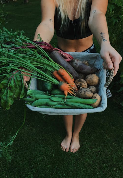 Free Person Holding a Basket Full of Vegetables Stock Photo