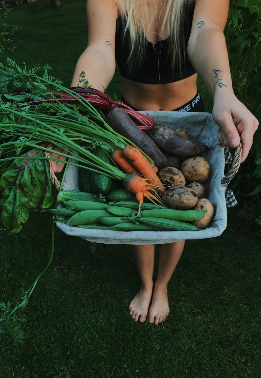 carrots potatoes beans peas growing in UK garden