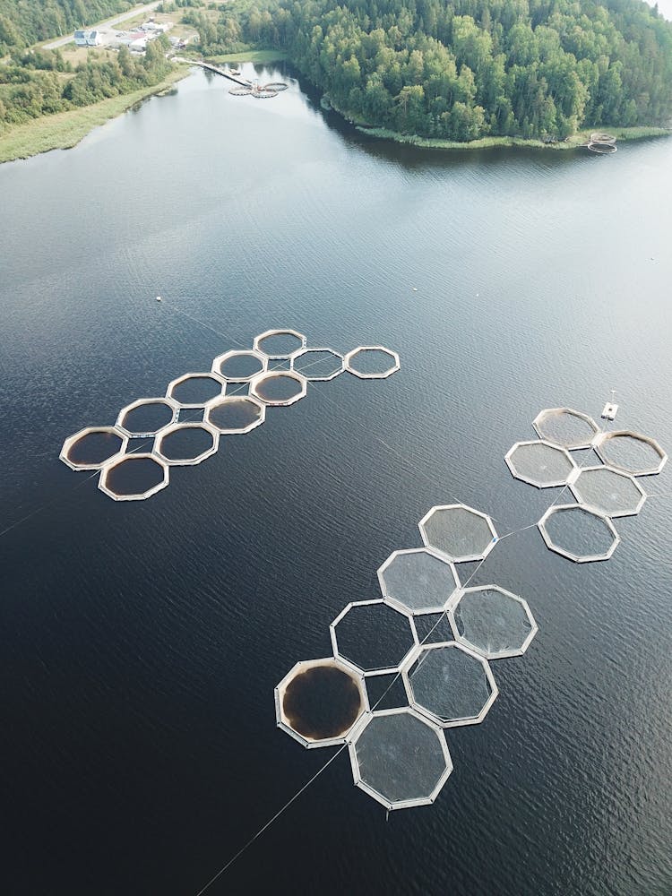 Octagon Shaped Fish Pens In The Lake