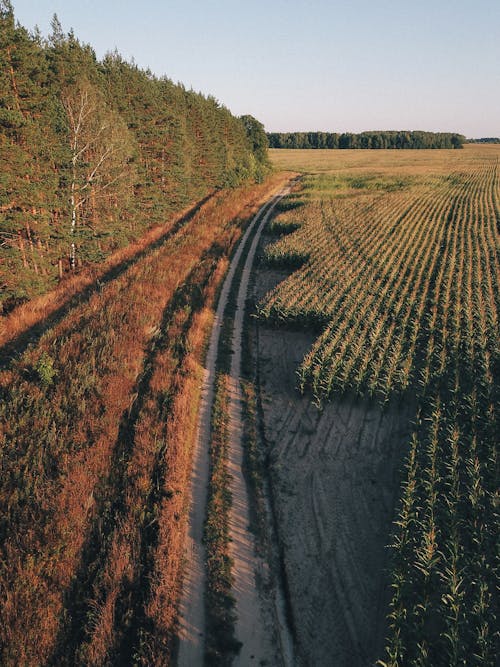 Darmowe zdjęcie z galerii z fotografia lotnicza, natura, pole