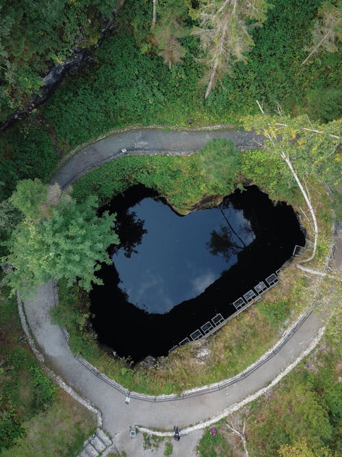 Top View of a Lake in a Park