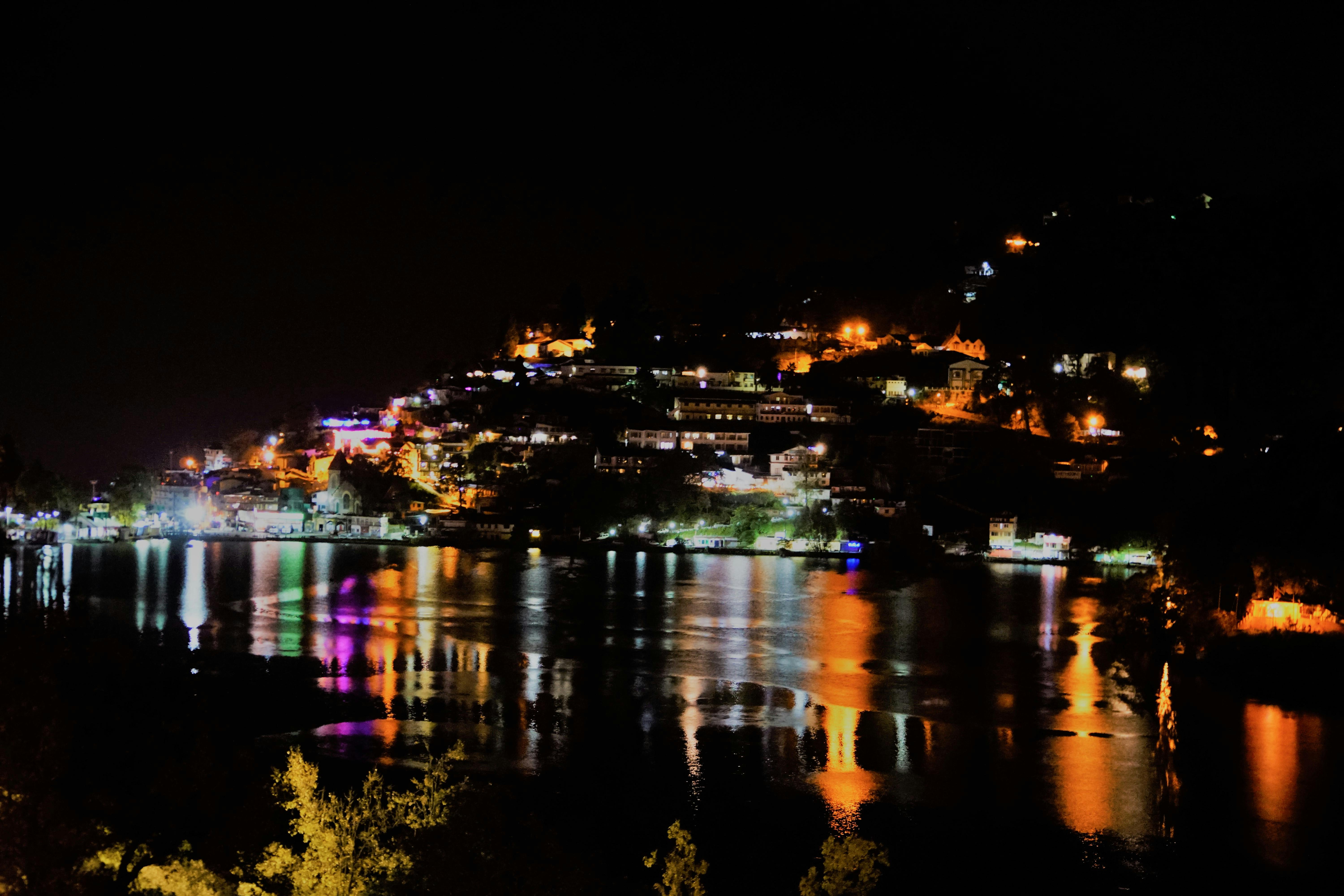 Free stock photo of beautiful flowers, beauty, flower - 500 x 333 jpeg 21kB