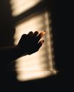 Silhouette of Persons Hand