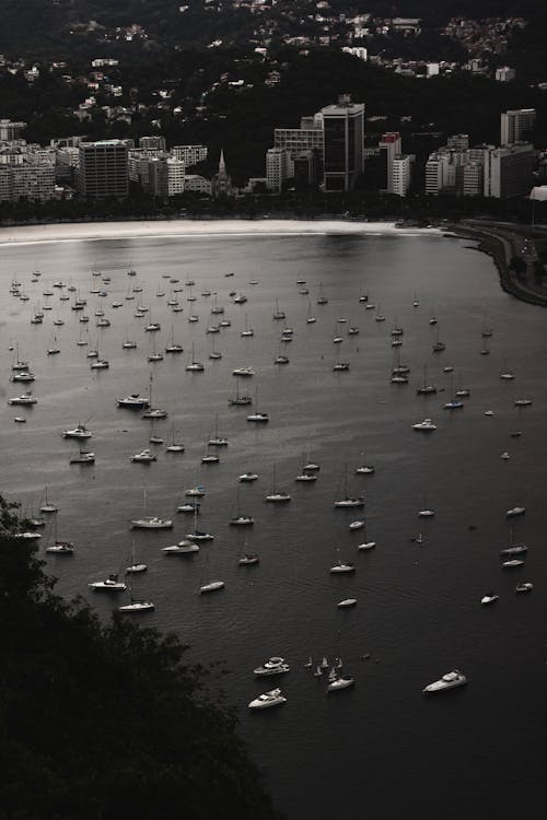 Free Boats and Yachts in the Bay Stock Photo