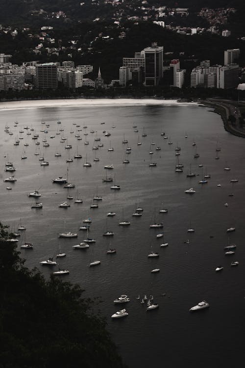 Boats and Yachts in the Bay