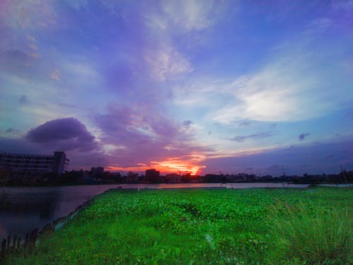 Free stock photo of beautiful sunset, dark clouds, field of grass
