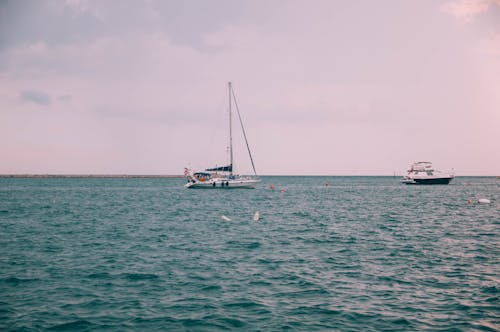 Foto profissional grátis de barco, embarcações, horizonte