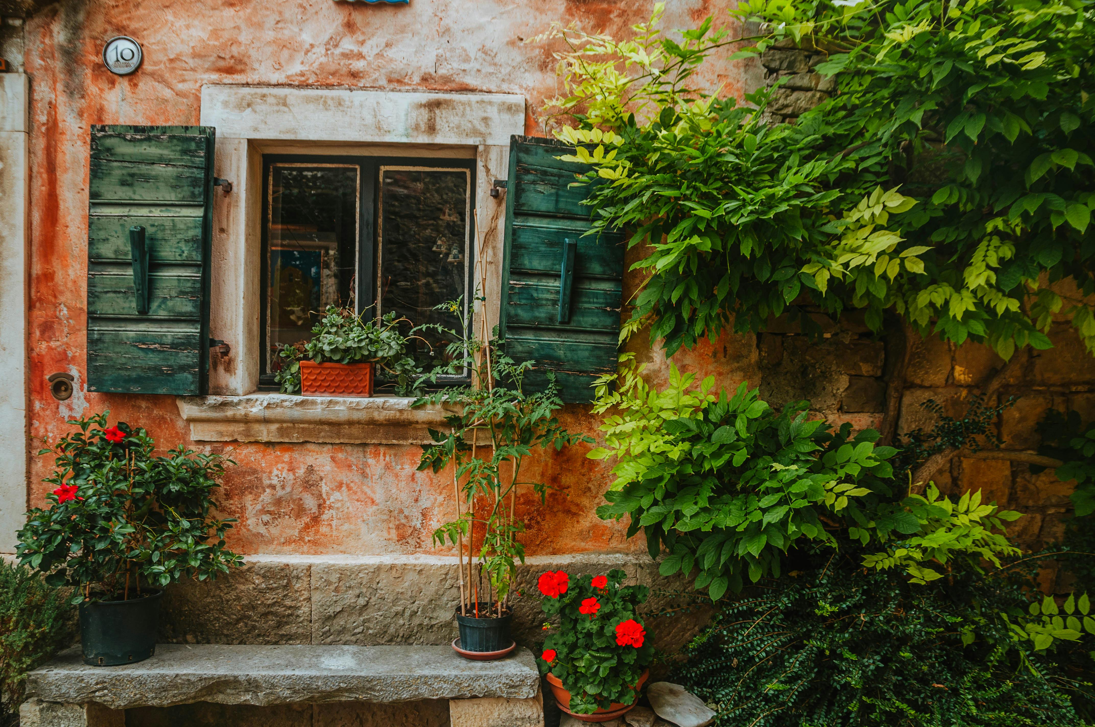 A rustic brick wall with green shutters and vivid potted plants, capturing a cozy outdoor ambiance.