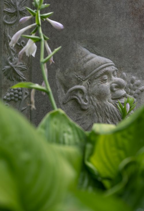 Free A detailed view of a garden gnome sculpture surrounded by lush greenery and flowers. Stock Photo