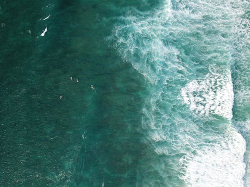 Immagine gratuita di fare surf, mare, natura