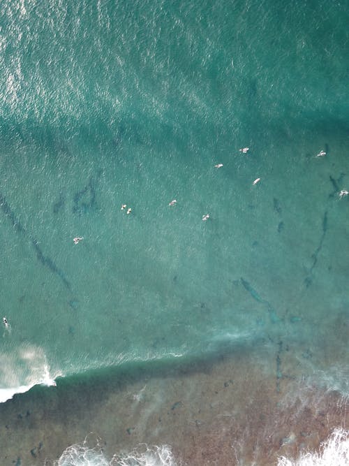 Free Aerial Shot of a Sea Stock Photo