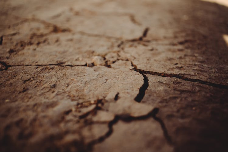 A Close-Up Shot Of A Cracked Floor