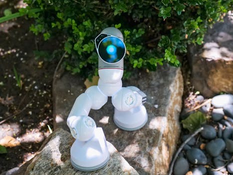 A sleek white robot exploring rocks and plants in an outdoor setting.