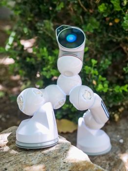 Small white robot outdoors, showcasing advanced technology and innovation.