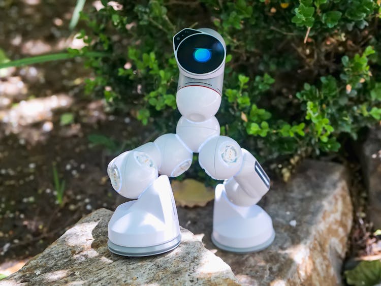 White Robot Toy On Brown Rock