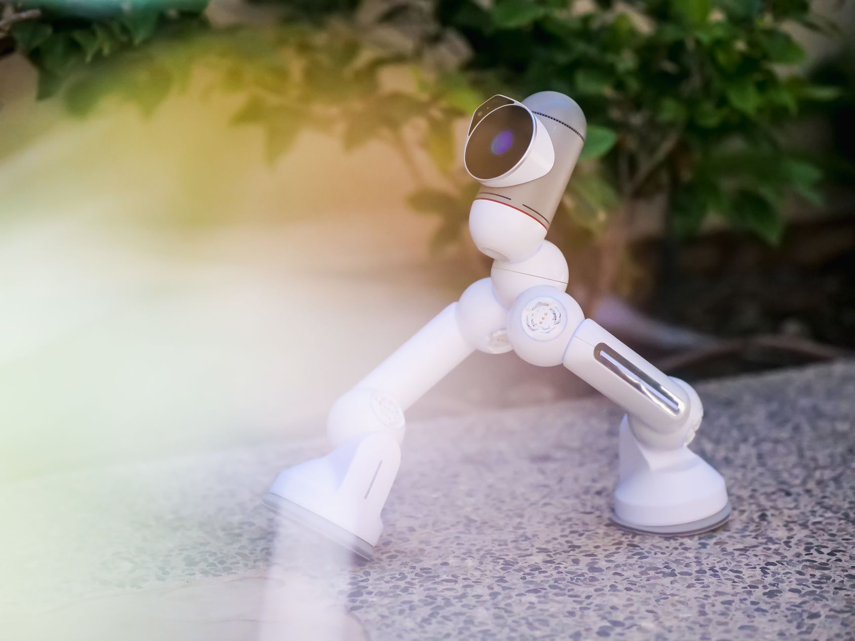 A small white robot toy on a concrete floor with green foliage in the background.
