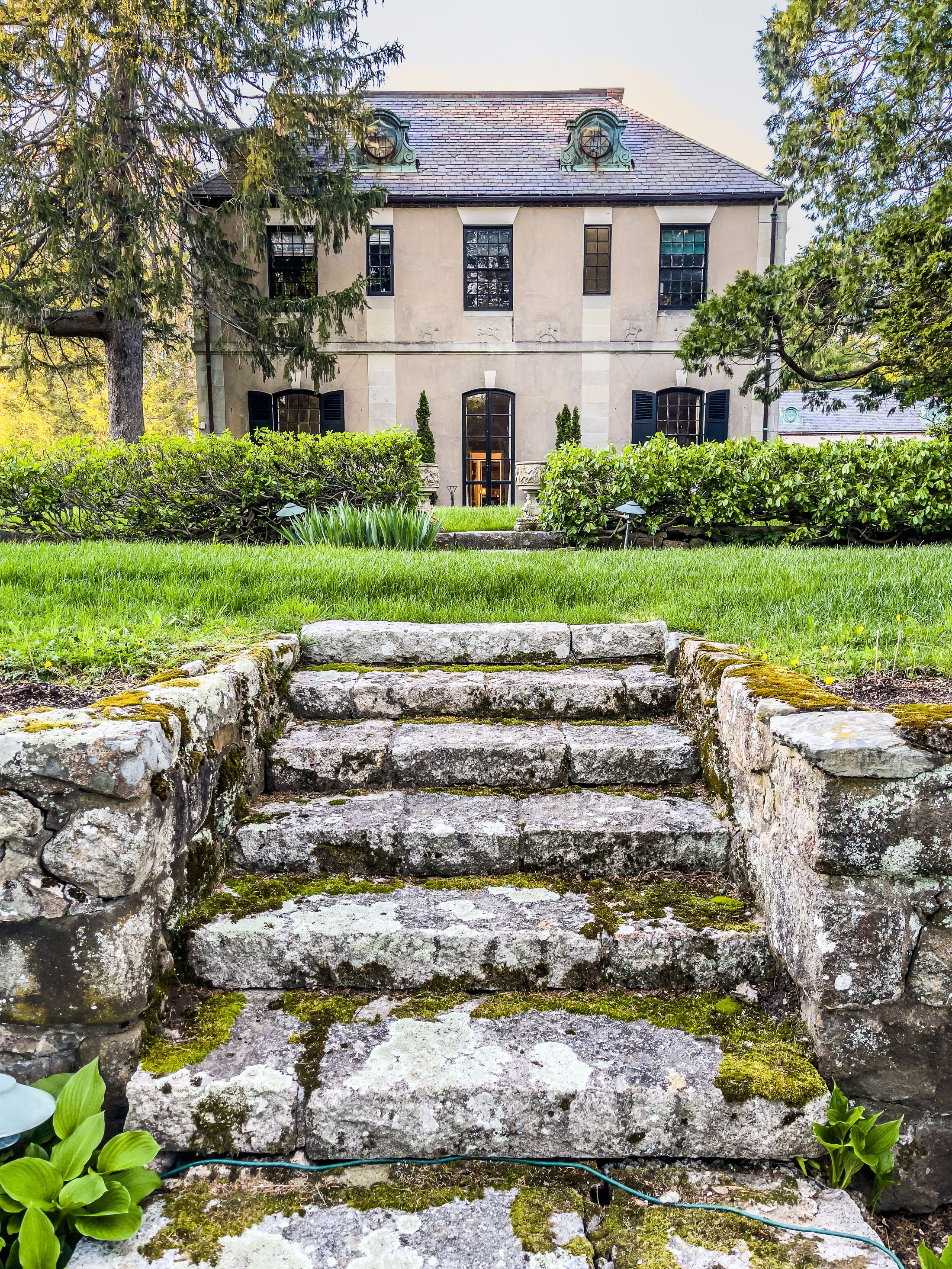 Stone steps leading up through a garden
