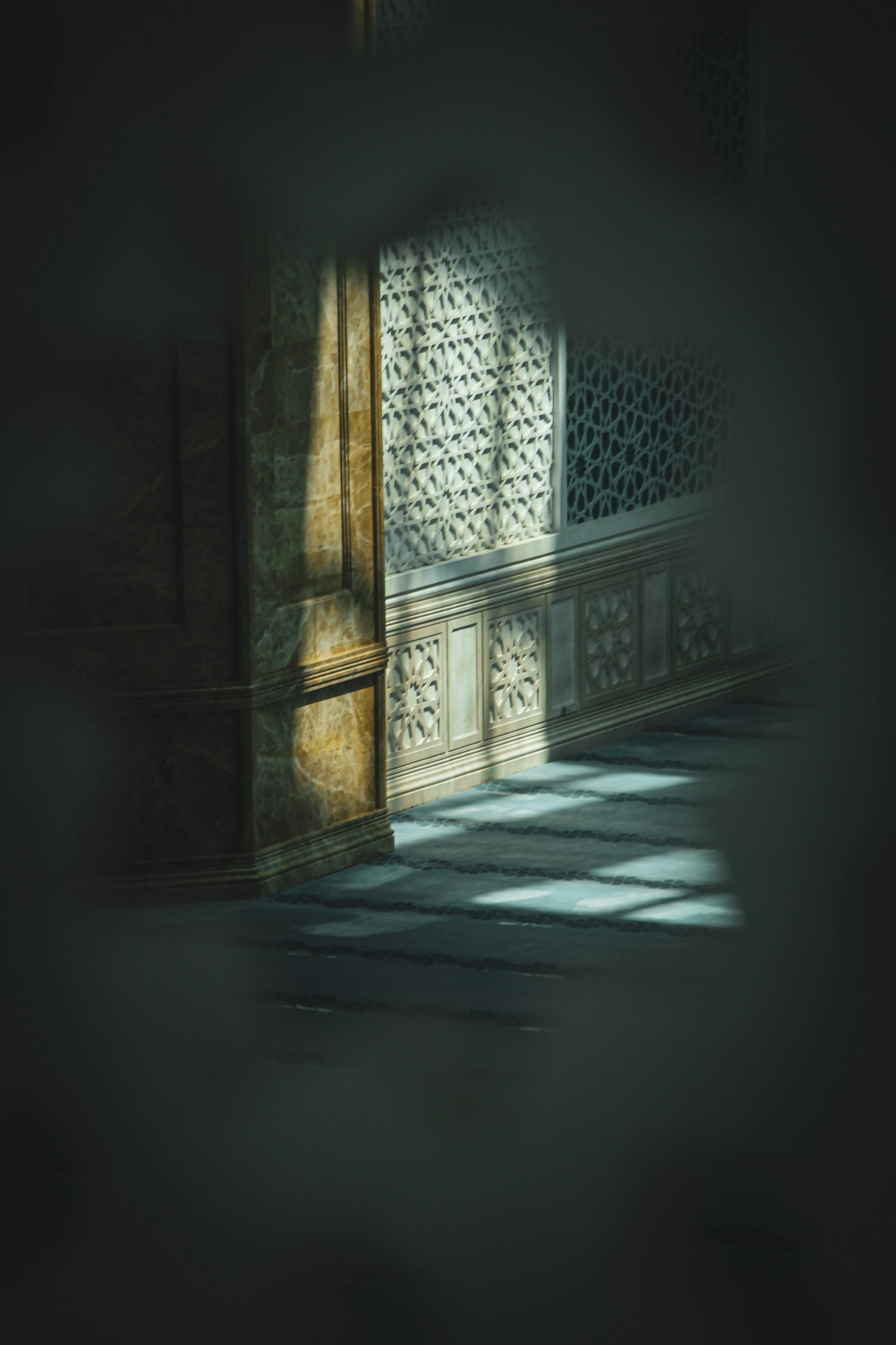 Miễn phí Ảnh lưu trữ miễn phí về ẩn, ánh sáng, bắn dọc Ảnh lưu trữ