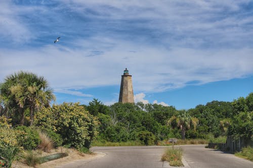 Brown Lighthouse Near Green Trees Under the Blue Sky