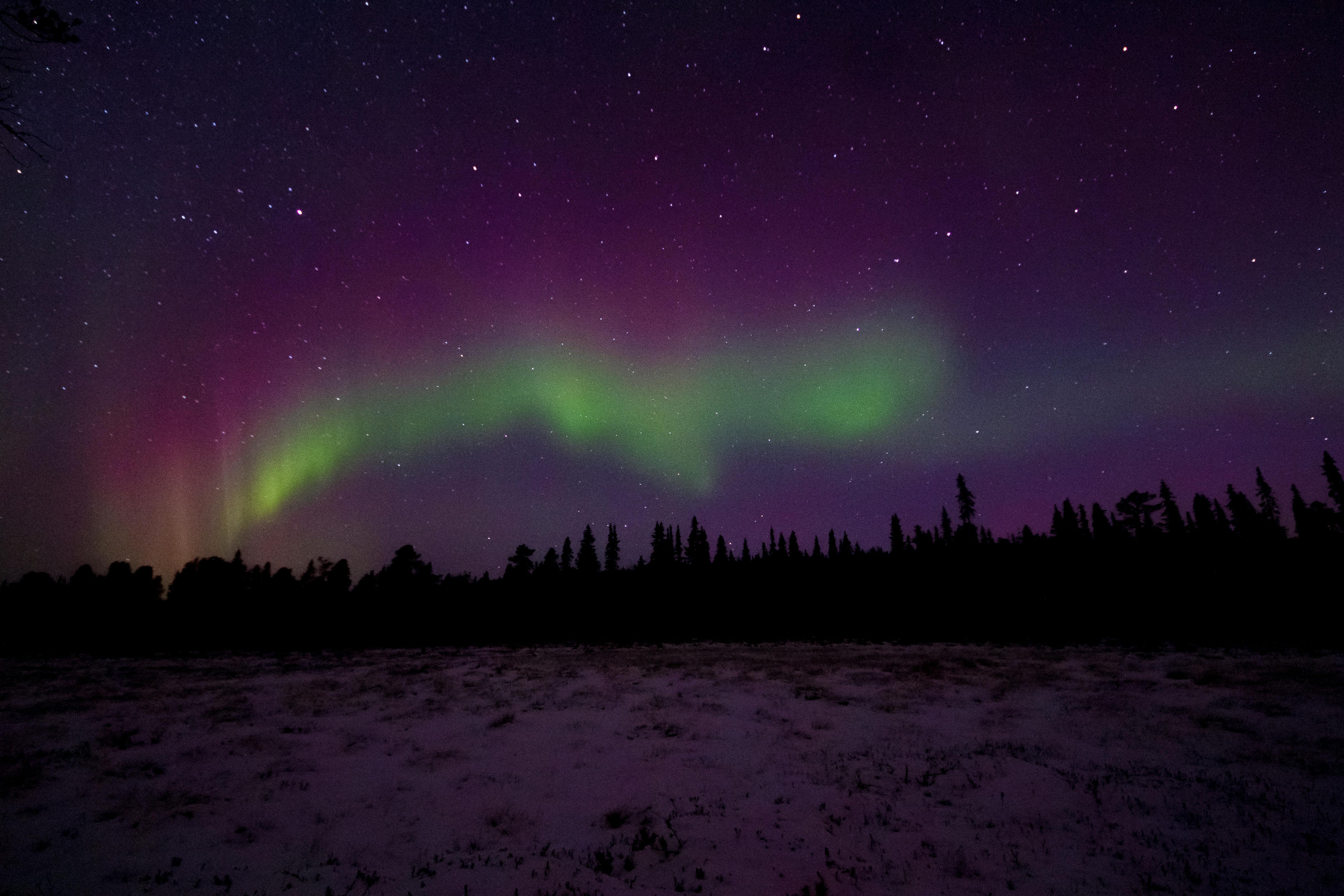 Free stock photo of astronomy, atmosphere, aurora borealis