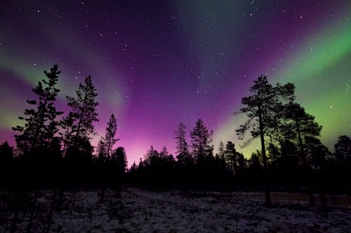 Free stock photo of astronomy, atmosphere, aurora borealis Stock Photo