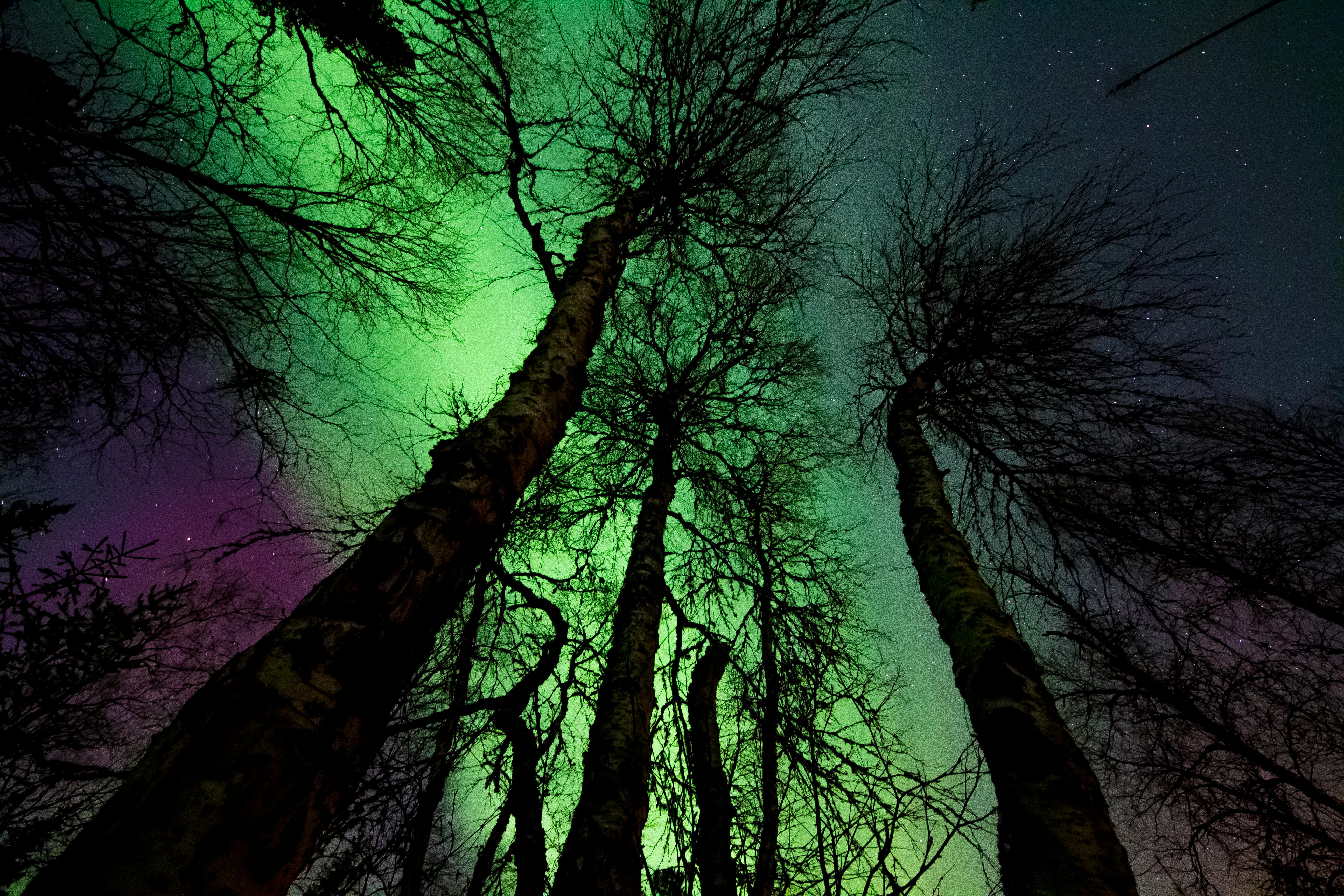 40.000+ melhores imagens de Aurora Boreal · Download 100% grátis