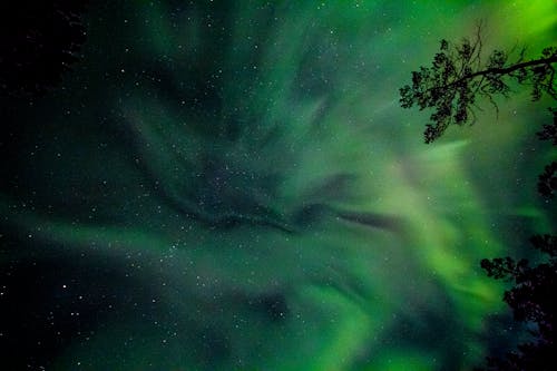 Ilmainen kuvapankkikuva tunnisteilla aurora borealis, ilmakehä, revontulet Kuvapankkikuva
