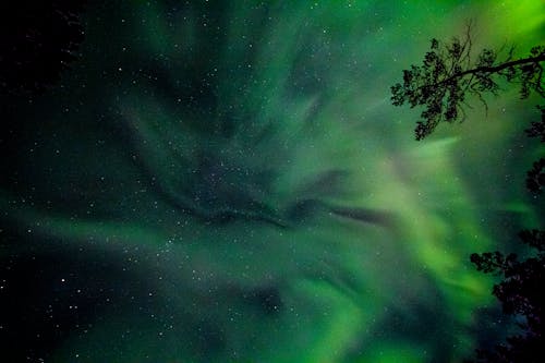 Ilmainen kuvapankkikuva tunnisteilla aurora borealis, ilmakehä, revontulet