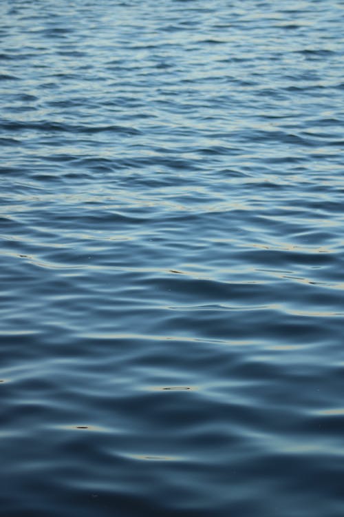 Wavy Feature of a Water Surface
